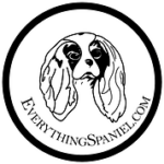 Everything Spaniel